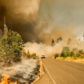 The Intersection of Environment and Politics in Western Oregon