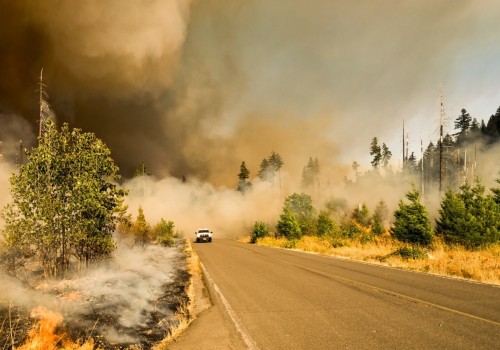 The Intersection of Environment and Politics in Western Oregon